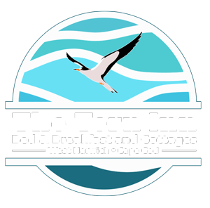 tern in logo